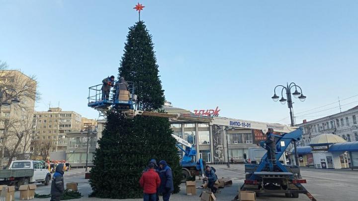 У цирка в Саратове впервые установили новогоднюю елку