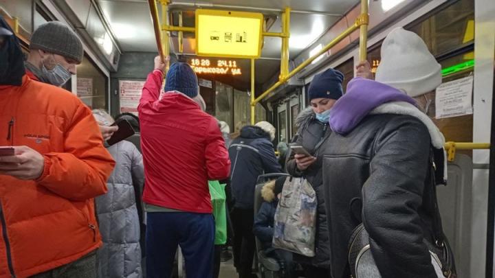 Дети мобилизованных саратовцев будут бесплатно ездить в общественном транспорте
