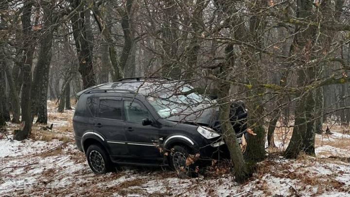 Автоледи врезалась в дерево в Гагаринском районе: пострадали трое детей