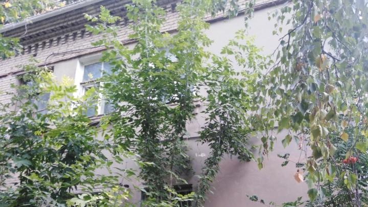 В Саратове снесут три дома в Октябрьском районе и один в Волжском