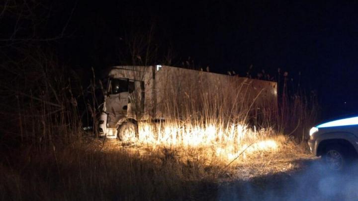 В Балашовском районе перевернулась фура: водитель погиб