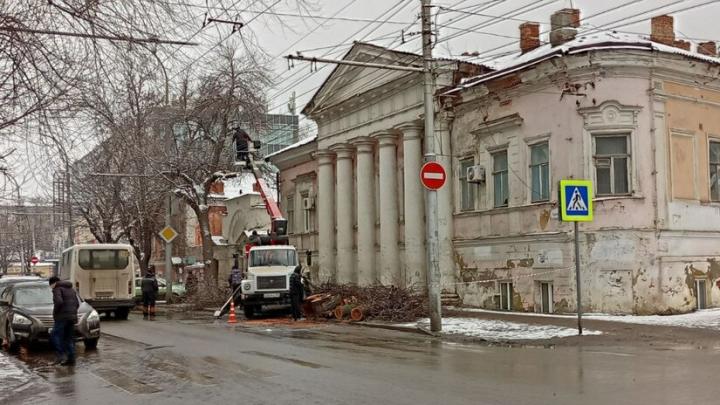 Около усадьбы Тюльпиных в Саратове пилят деревья