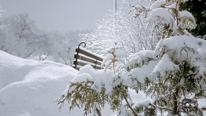 В Саратовской области обещают снегопад