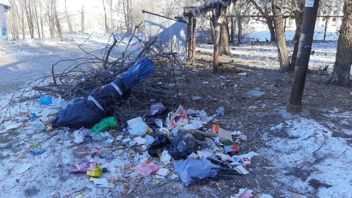 В Заводском районе Саратова мусорки закрывают на кодовые замки