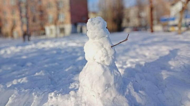 В Саратовской области обещают снег