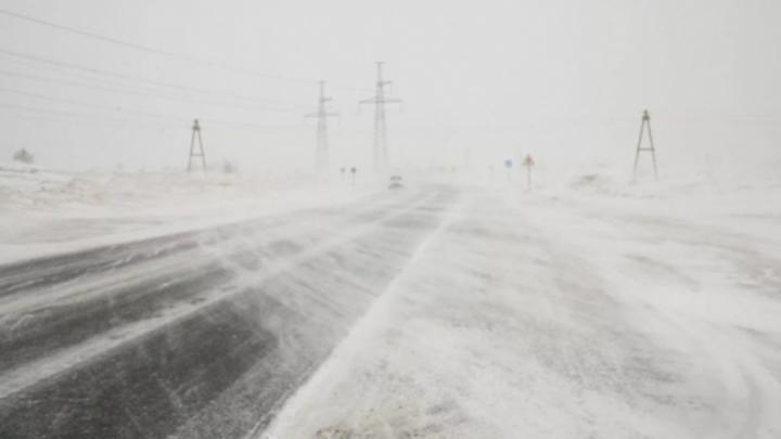 Мокрый снег и метель накроют Саратовскую область в выходные