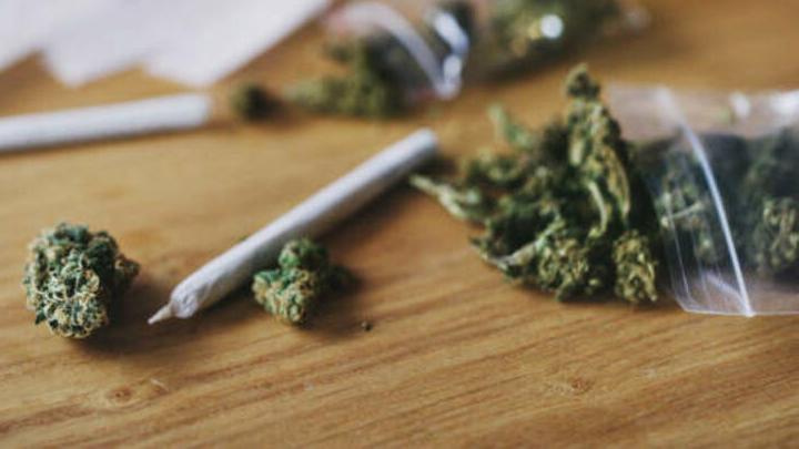 В квартире саратовца нашли 18,5 килограммов марихуаны