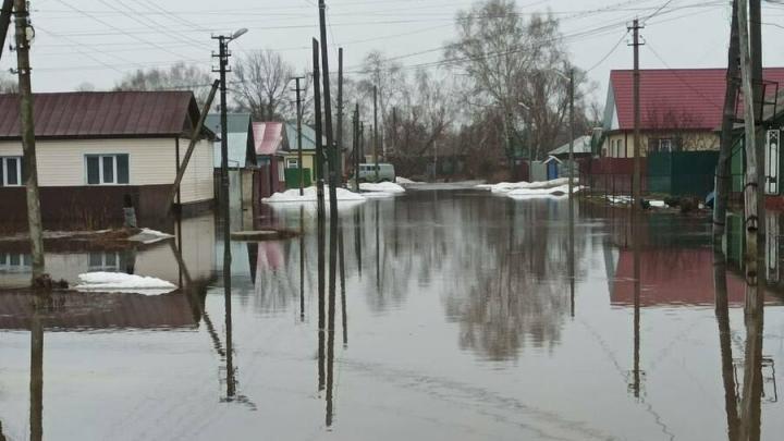 В Петровске резко поднялась вода в Медведице: в зоне подтопления почти 400 человек 