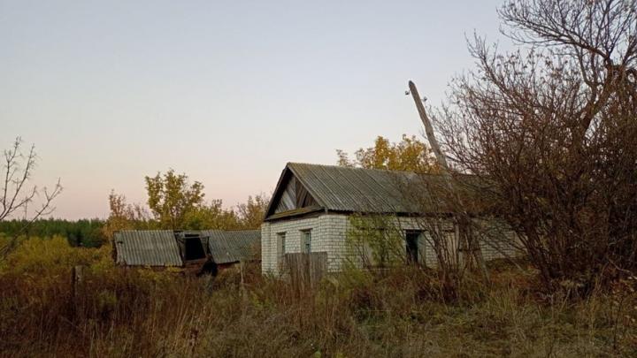 Пожарные тушили огонь на балаковских дачах