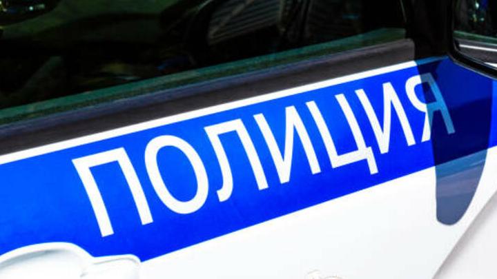 Житель Балашова оштрафован за пинок по полицейской машине