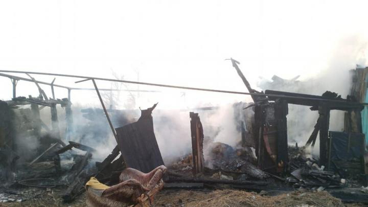Двое детей и двое взрослых спаслись из горящего дома в саратовском селе