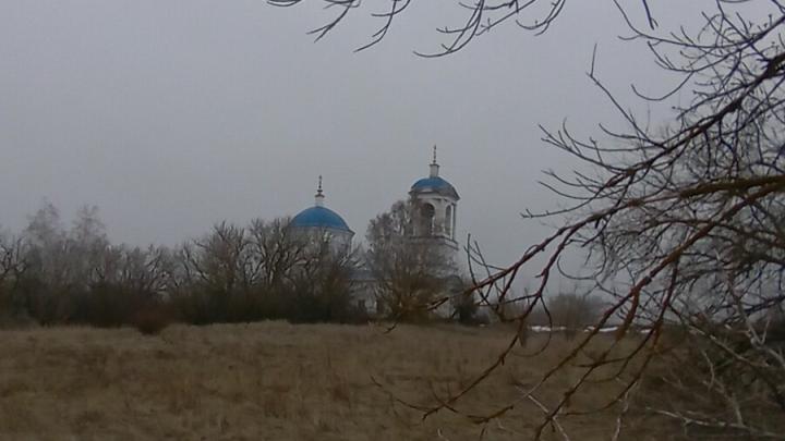 В выходные в Саратовской области станет теплее, но возможны осадки