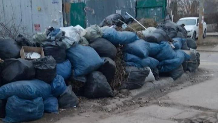 Жители поселка Юбилейный жалуются на антисанитарию на улице Федоровской