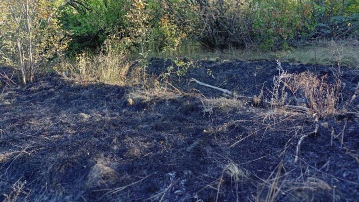 В Петровском районе пожарные дважды тушили горящий мусор