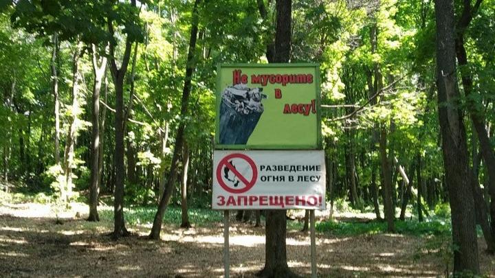 В Красноармейском районе горит гектар дубового леса