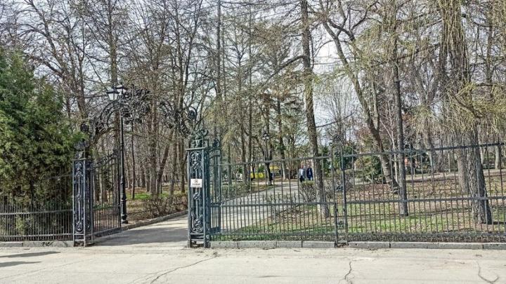 В Саратове сад «Липки» закрыли до конца апреля