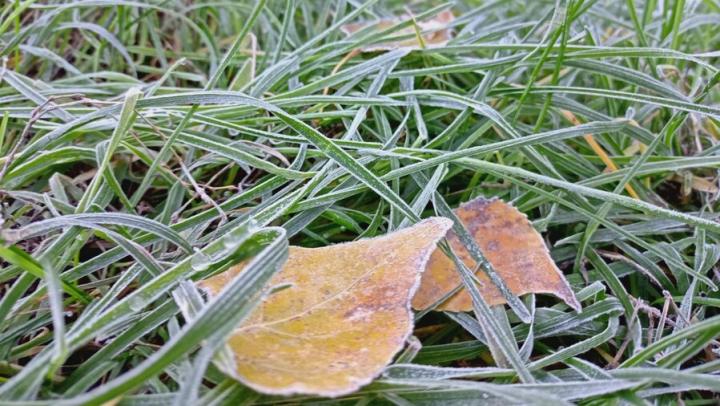 Снова прогнозируют заморозки в Саратовской области
