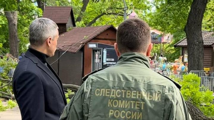 Трагедия в городском парке Саратова: следственный комитет возбудил уголовное дело