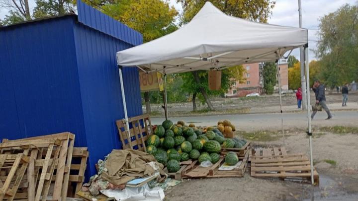 В Гагаринском районе Саратова заработают ярмарки