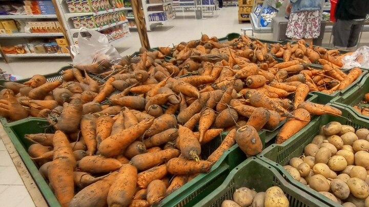 В Саратовской области дорожают морковь, капуста и лук, дешевеют огурцы