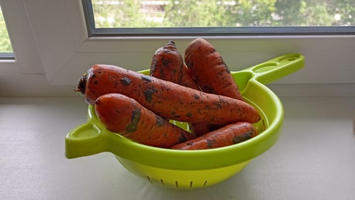 За неделю в Саратовской области подорожала морковь и подешевели помидоры