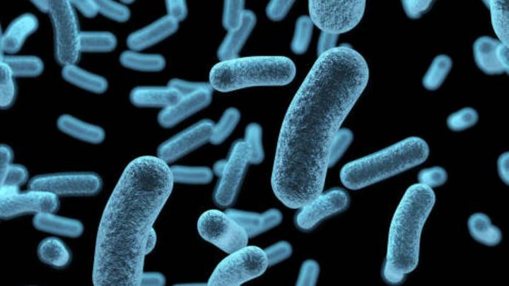 Минздрав: появилось значительное число бактерий, устойчивых к антибиотикам