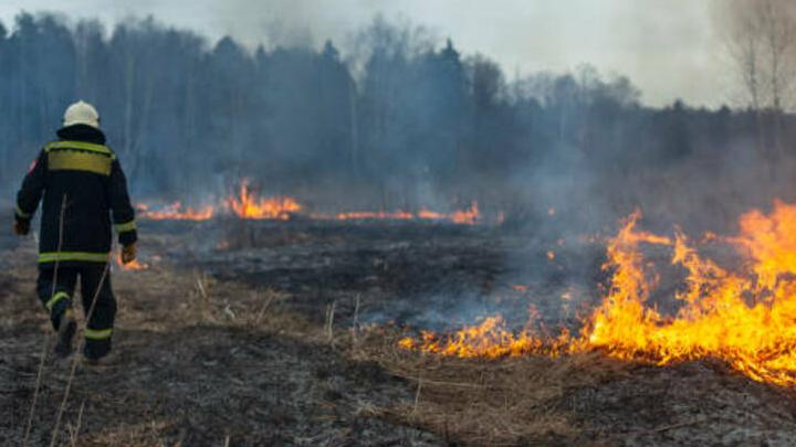 В Саратовской области снизилось количество ландшафтных пожаров