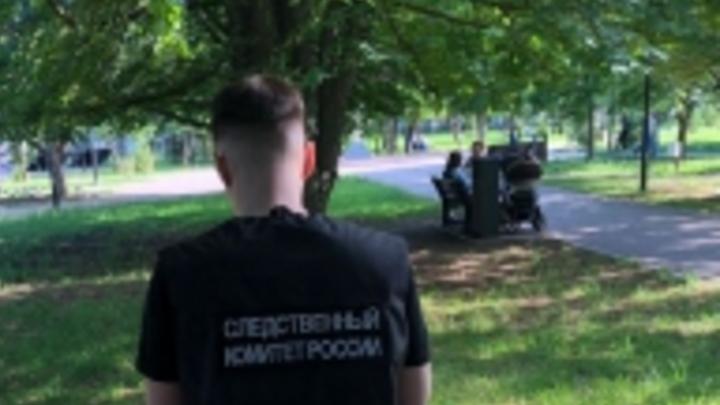 Прохожие нашли в саратовском парке труп пенсионера
