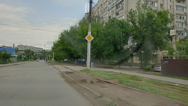 Скоростной трамвай в Саратове: рабочие спилили 27 деревьев на Огородной