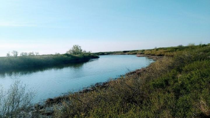 С начала лета в Саратовской области утонули 10 взрослых и двое детей