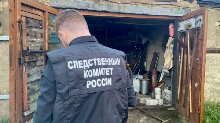 В Саратовской области нашли трупы двух пенсионеров