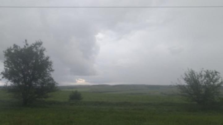 Погода в Саратовской области: утром туман, днем жара