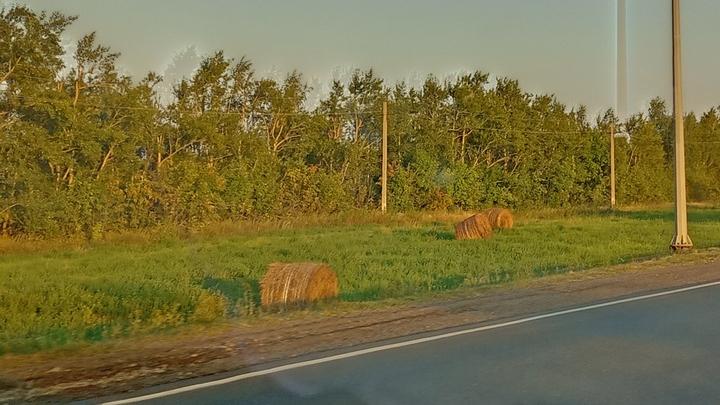 В Саратове жара до +36 градусов 