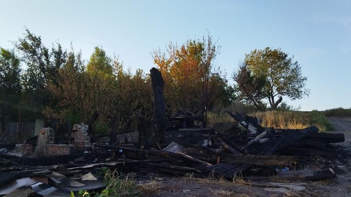 В Петровском районе сгорели животные 