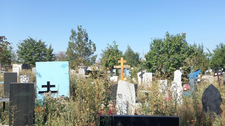 На кладбище под Саратовом сельчанин избил знакомого палкой