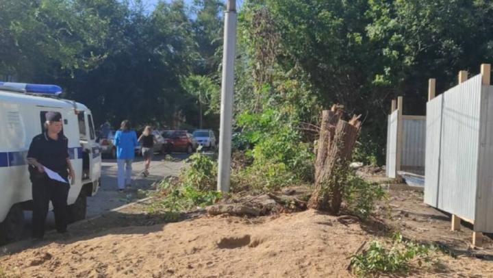 Неизвестные дровосеки оставили улицу Комсомольскую в Саратове без деревьев