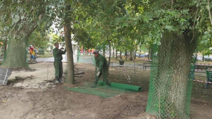 В «Липках» строят детскую площадку: деревья обещали не трогать