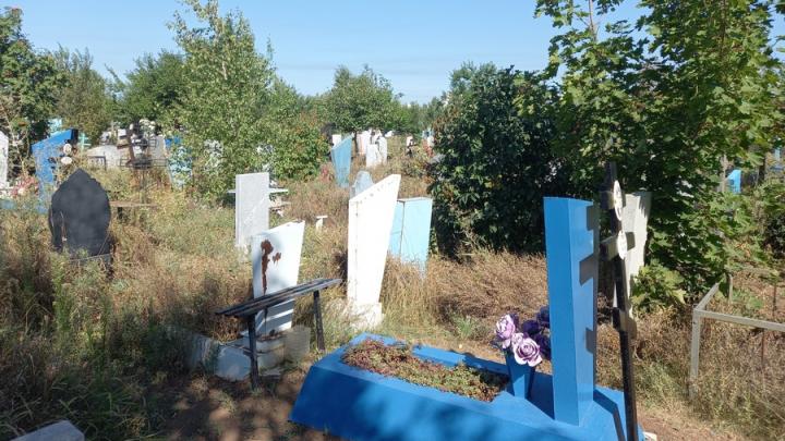 Саратовских работодателей обяжут ухаживать за могилами бывших сотрудников