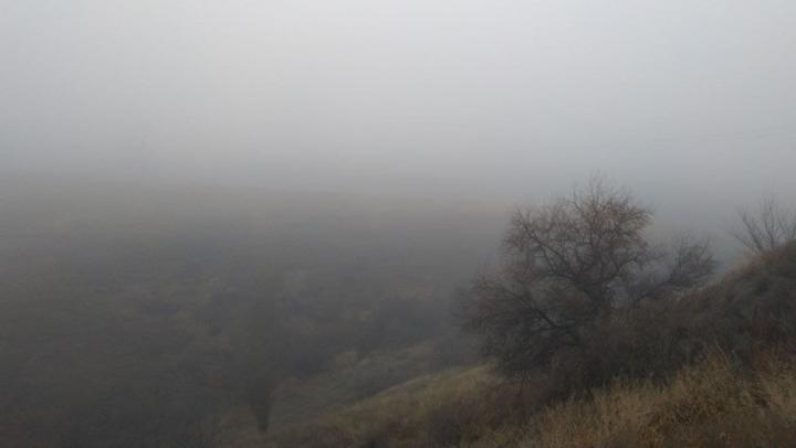 По утрам Саратовскую область накрывает туман