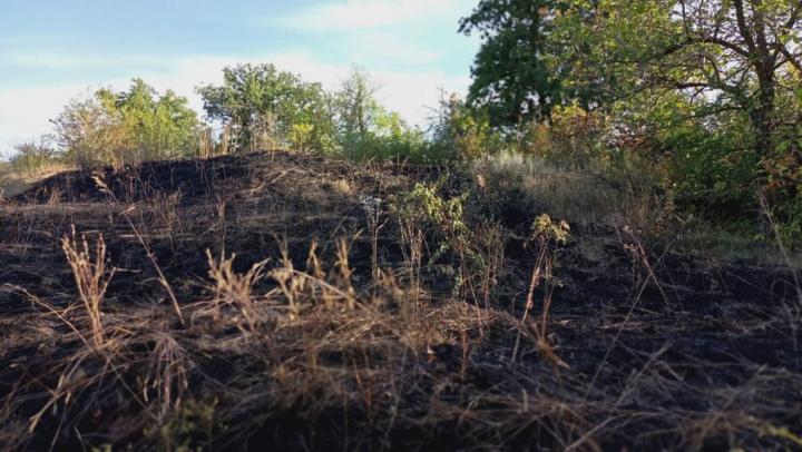 Более 5 гектаров травы сгорело в Татищевском районе