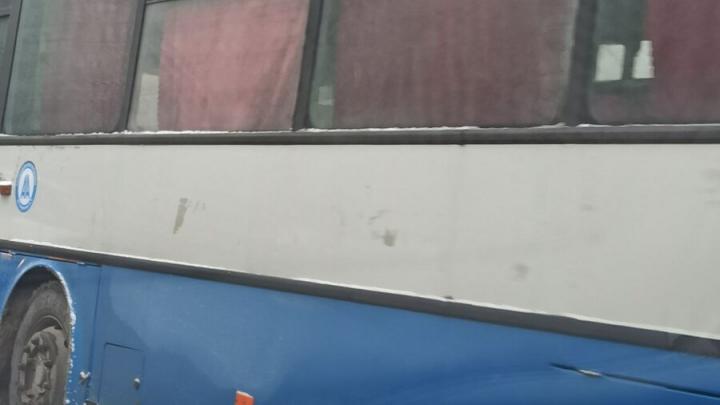 В центре Саратова автобус сбил пенсионера