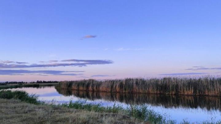 В пруды Левобережья Саратовской области закачано 8827,6 кубометров воды