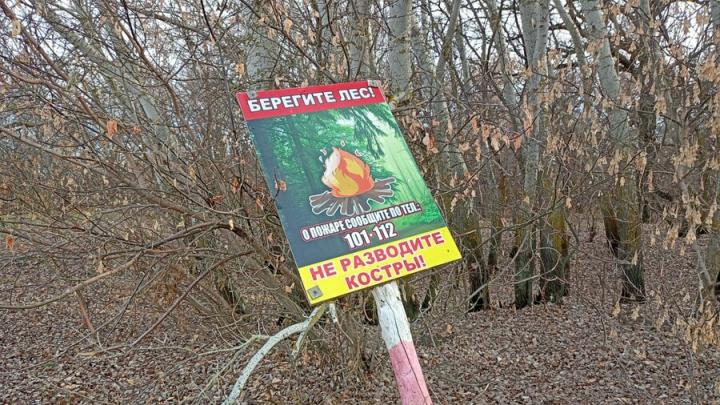 В Саратовской области еще на три недели ограничат пребывание в лесах