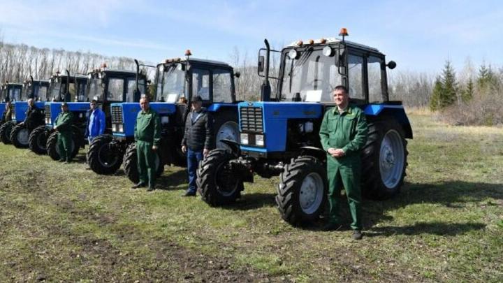 Из бюджета Саратовской области выделили 5 млн рублей на технику для восстановление лесов