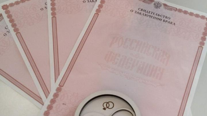 В Саратовской области на 2,2 процента увеличилось число браков
