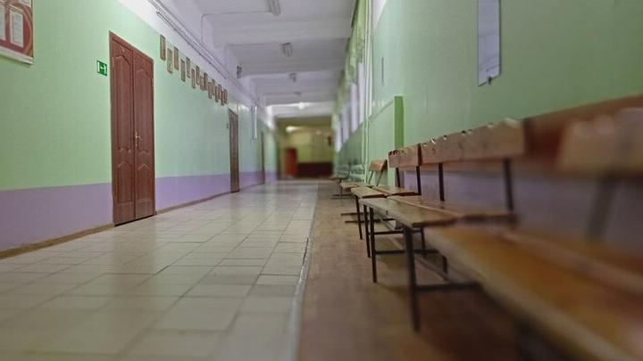 Из-за гриппа и ОРВИ в Саратовской области закрыты восемь школ