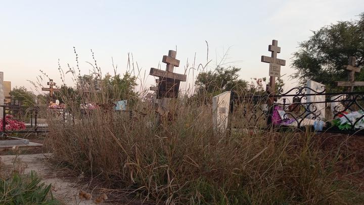 Двенадцать саратовцев стали жертвами «кладбищенского ОПГ» при покупке могил