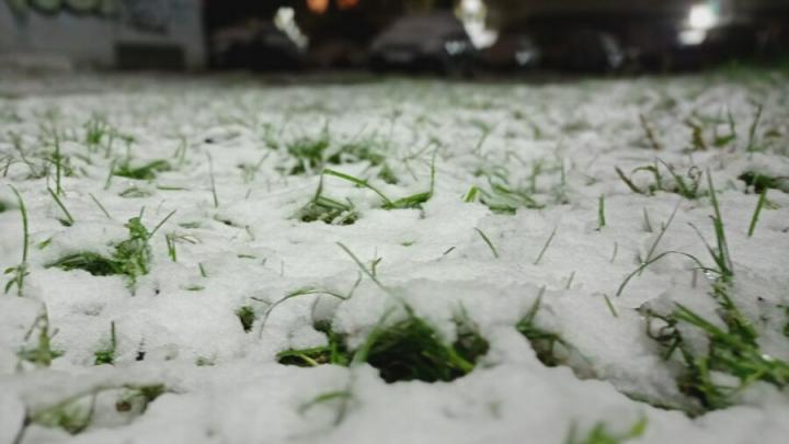 Сильный снег, метель и голодедица ожидаются в Саратовской области