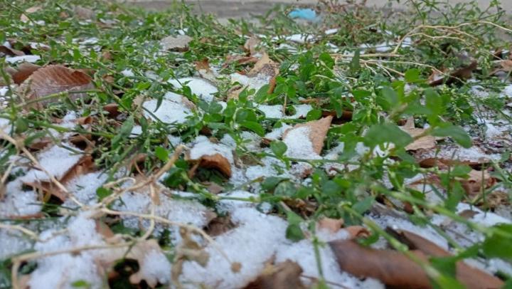 Снег и мороз ожидаются в Саратовской области