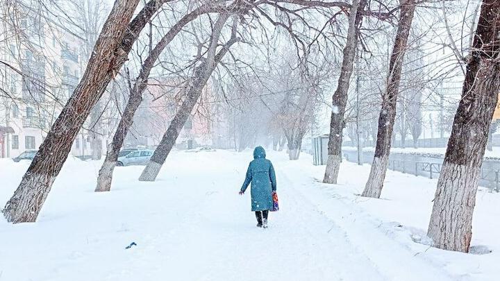 Оттепель будет сменяться морозами до -14 градусов в Саратовской области